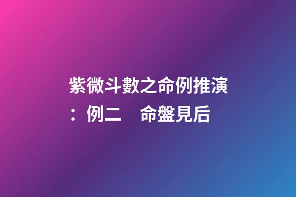 紫微斗數之命例推演：例二　命盤見后